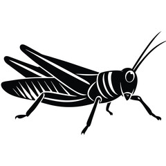 Grashoper vector silhouette Single collection 