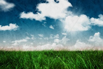 Digital image of grassy landscape