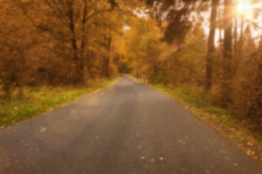 Fototapeta Empty road by trees during autumn