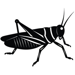 Grashoper vector silhouette Single collection 