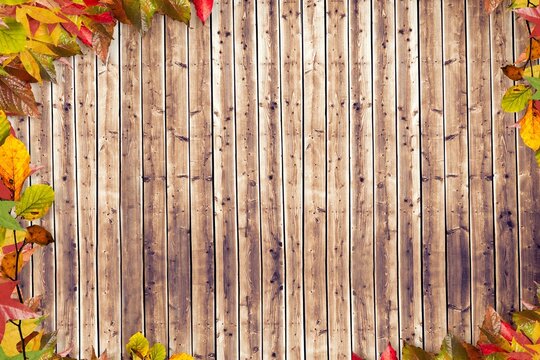 Fototapeta Vertical wooden planks showing rustic grain are forming flat design backdrop framing autumn leaves