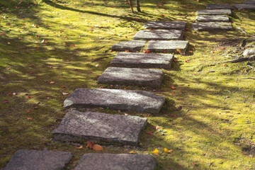 Stepping stones on a lush, grassy path in a serene setting. Kyoto, Japan