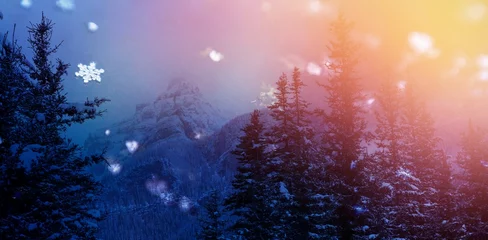 Schilderijen op glas Snow covered trees and mountains © vectorfusionart