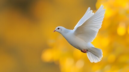 Obraz premium A white dove in flight against a golden backdrop.