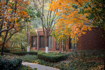 Autumn in an upscale residential area in Beijing, China