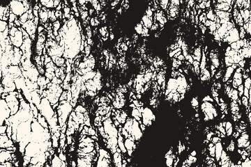 Extreme Res Surface Texture
