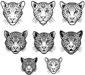 Fototapeta premium Line art animal design vector art 