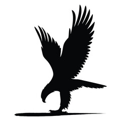 Obraz premium Eagle silhouette landing pose