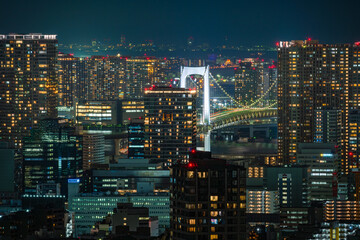 Tokyo City Skyline at Sunset
