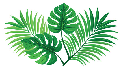 green leaves isolated on white background