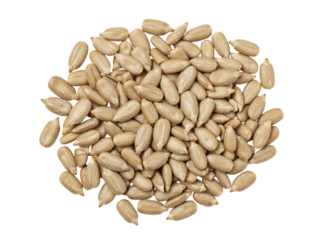 A pile of shelled sunflower seeds arranged in a circle isolated on transparent background