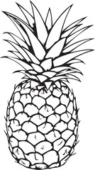 Print Hand Drawn Pineapple Outline Illustration