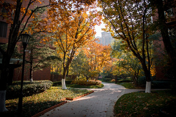 Naklejka premium Autumn in an upscale residential area in Beijing, China