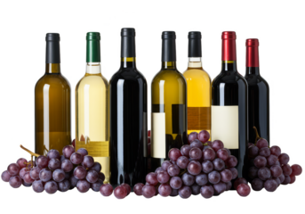 Isolated Transparent Background with Group of Wine Bottles and Grapes