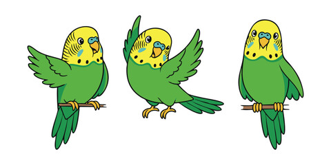 Adorable Cartoon Budgie: A Trio of Budgie Cartoon Illustrations in Different Poses