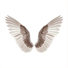 Fototapeta premium Vector Illustration Of Angel Wings With Brown And White Feathers Isolated On White Background