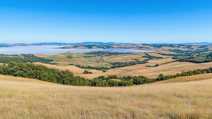 Naklejka premium Expansive vista of rolling hills and valleys under a clear sky.
