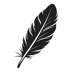 Fototapeta premium feather silhouette , Bird Feather Silhouette