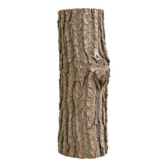 Isolated Tree Trunk Cutout Showing Rough Wood Bark Texture
