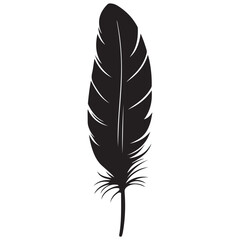 Obraz premium feather silhouette , Bird Feather Silhouette