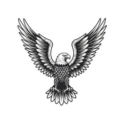 Fototapeta premium Illustration Of A Majestic Eagle With Spread Wings On Transparent Background