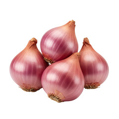 Fototapeta premium Four Vibrant Pink Red Shallots Studio Shot
