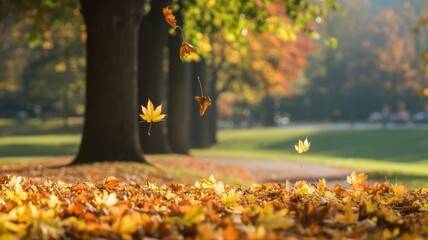 Autumn leaves gently falling from a tree, casting warm hues over a serene park landscape