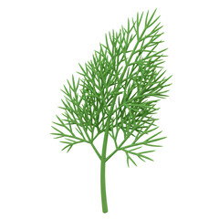 Naklejka premium Fresh Green Dill Sprig Isolated on Transparent Background