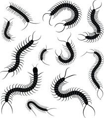 Centipede silhouette vector set, black insect illustration, creepy crawly design, cad drawing flat vector illustration, segmented body bug shapes