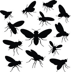 Fly insect silhouette vector set, pest control symbol, bug shapes collection, cad drawing flat vector illustration, black fly design icon