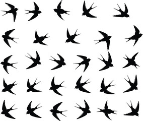 Flying bird silhouette vector set, swallow flight poses, black flat design, wildlife cad drawing illustration, minimal style animal vector art
