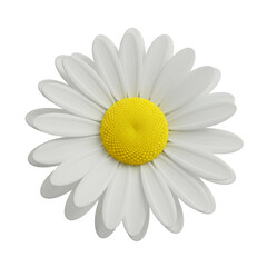 Isolated Single Daisy with White Petals and Yellow Center on Transparent Background