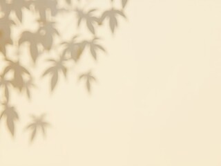Soft Shadow on Cream Wall Background