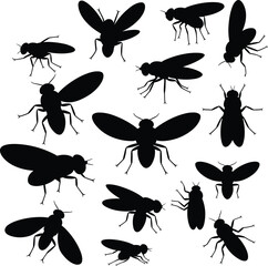 Silhouette illustration of flying insects, black vector houseflies, pest bug drawing set, fly side top view, cad drawing flat vector illustration