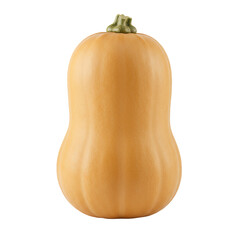 Pale Orange Butternut Squash on Transparent Background
