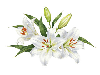 Naklejka premium Beautiful watercolor painting of white lilies with green leaves and buds on black background