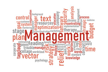 Business Management Word Cloud Concept &ndash; Strategy, Planning, Risk, Goals, and Process Keywords