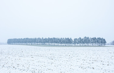 Snow-covered forests and winter fields
