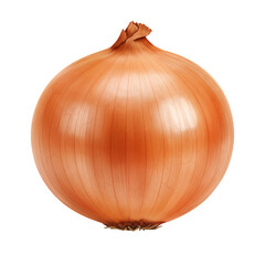 Single Ripe Brown Onion on Transparent Background