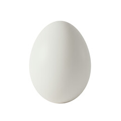 Single White Egg on Transparent Background