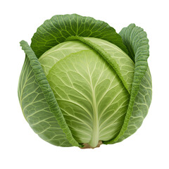 Obraz premium Vibrant Green Cabbage Head Freshly Harvested on a Transparent Background