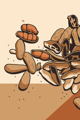 vector illustration of peanut