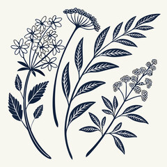 Floral design elements collection