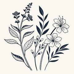 Floral design silhouette illustration