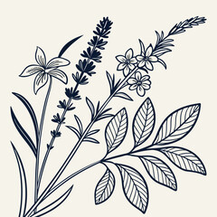 Floral design illustration