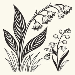 Floral illustration botanical design