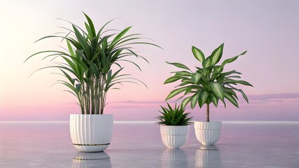 Three potted green houseplants against a soft pink sky
