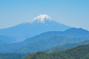 Fototapeta premium 姥子山から見る富士山