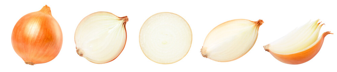 Onion on white background