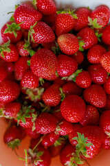 Fresh sweet strawberries in a white bowl . Seasonal berries.